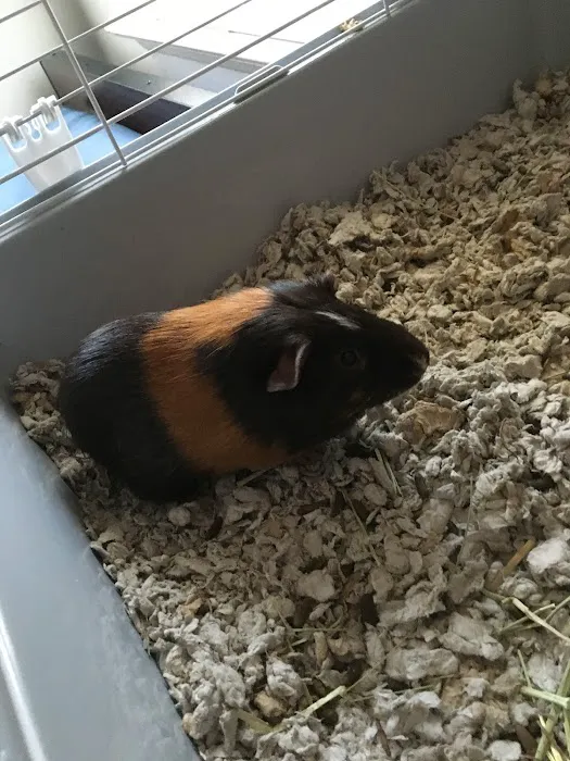 Petco Picture 8