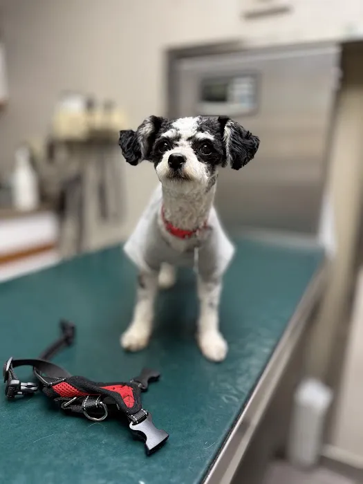 Warren Animal Hospital Picture 5