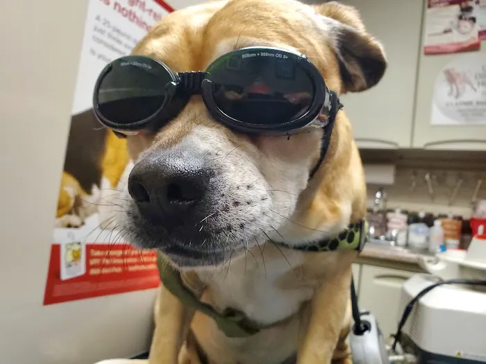 Warren Animal Hospital Picture 4