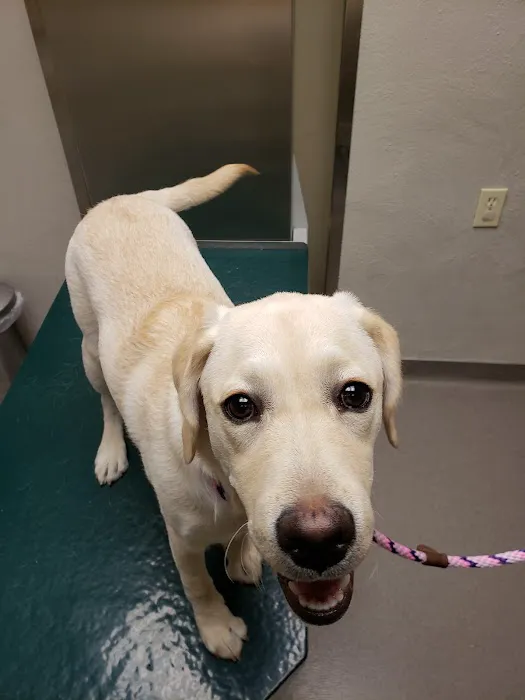 Warren Animal Hospital Picture 2