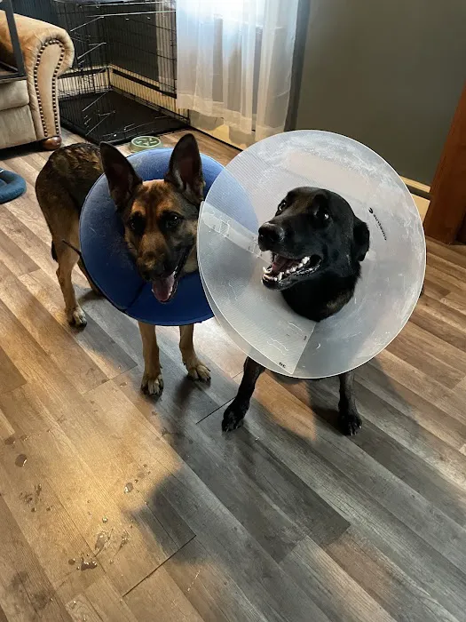 Warren Animal Hospital Picture 7