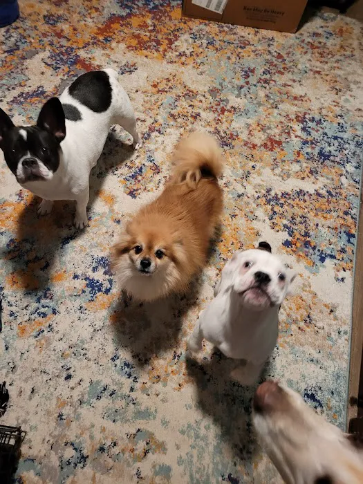 Warren Animal Hospital Picture 9