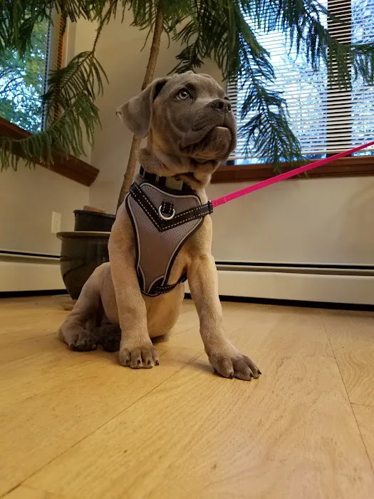 Warren Animal Hospital Picture 8
