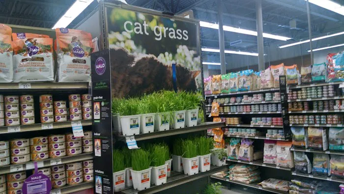 Petco Picture 2