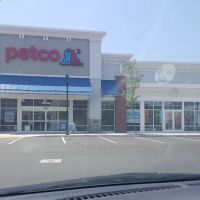 Petco ico