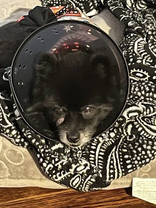Animal Health Center Picture 4