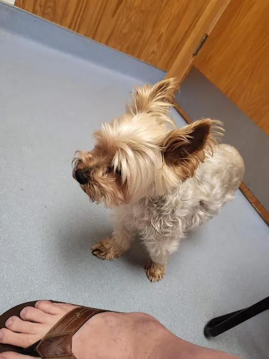 Harmony Animal Hospital: Epple W N DVM Picture 1