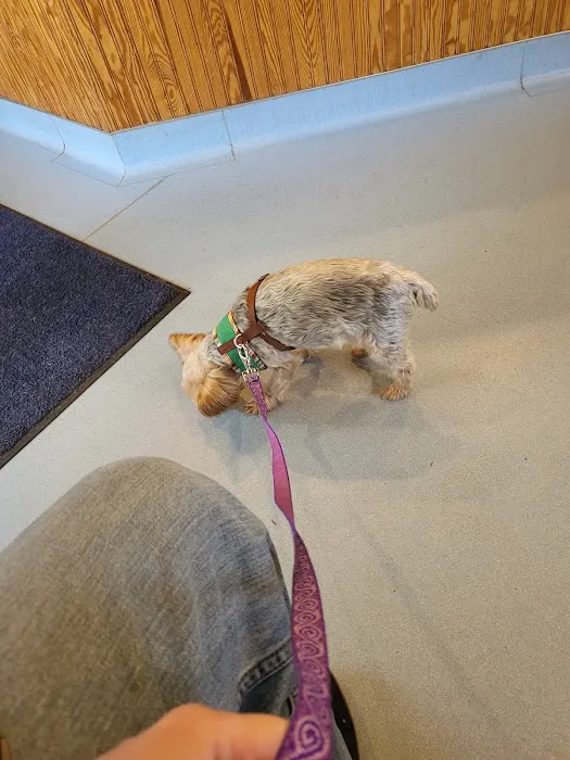 Harmony Animal Hospital: Epple W N DVM Picture 5