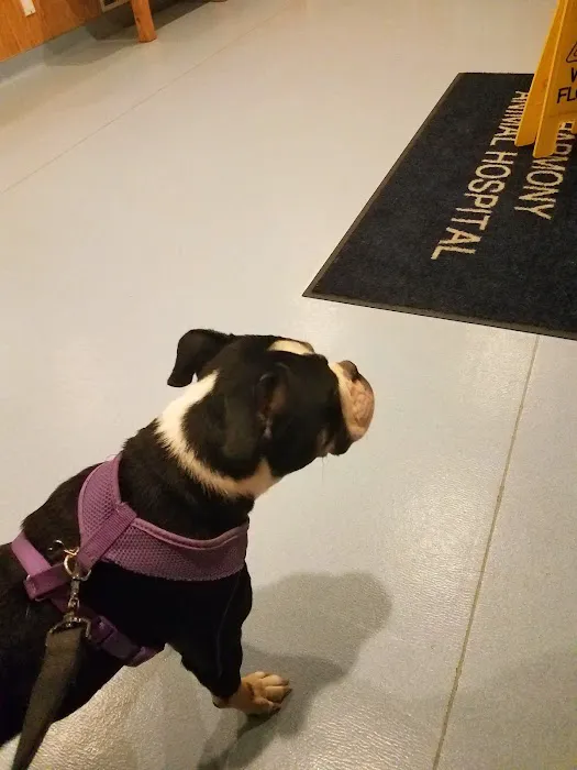 Harmony Animal Hospital: Epple W N DVM Picture 4