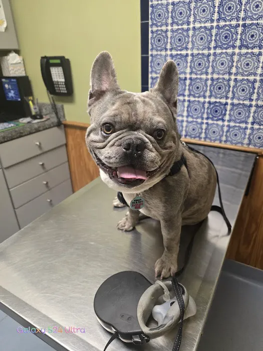 Harmony Animal Hospital: Epple W N DVM Picture 9