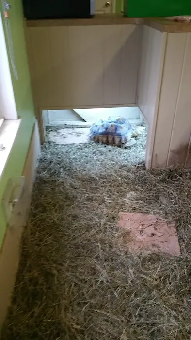 Gail's Pets Picture 2