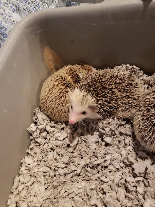 Gail's Pets Picture 6