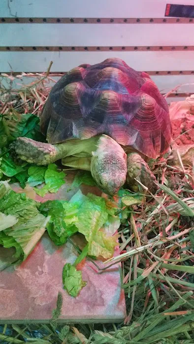 Gail's Pets Picture 5