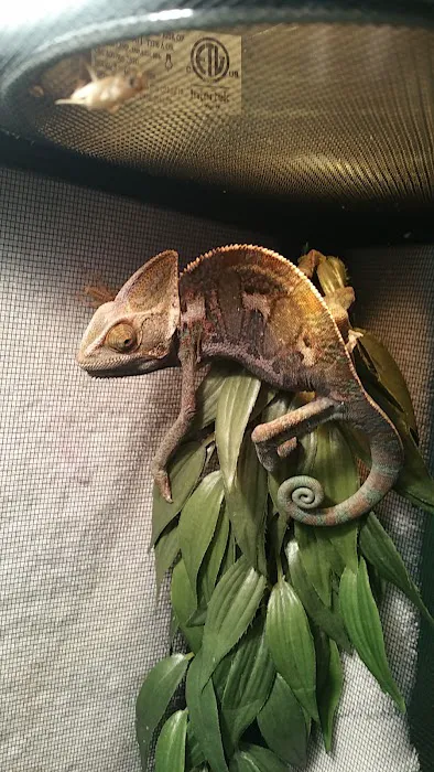 Gail's Pets Picture 9