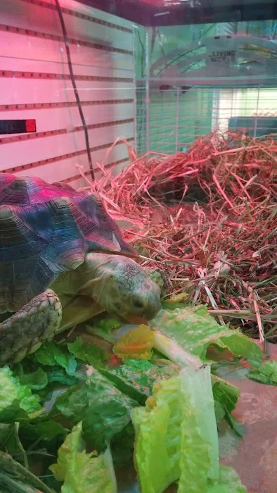 Gail's Pets Picture 8