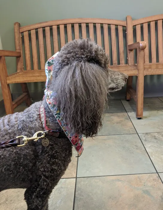 Wright Veterinary Medical Center Picture 10