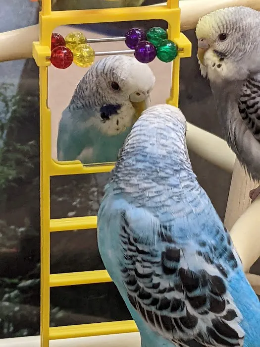 Petco Picture 2