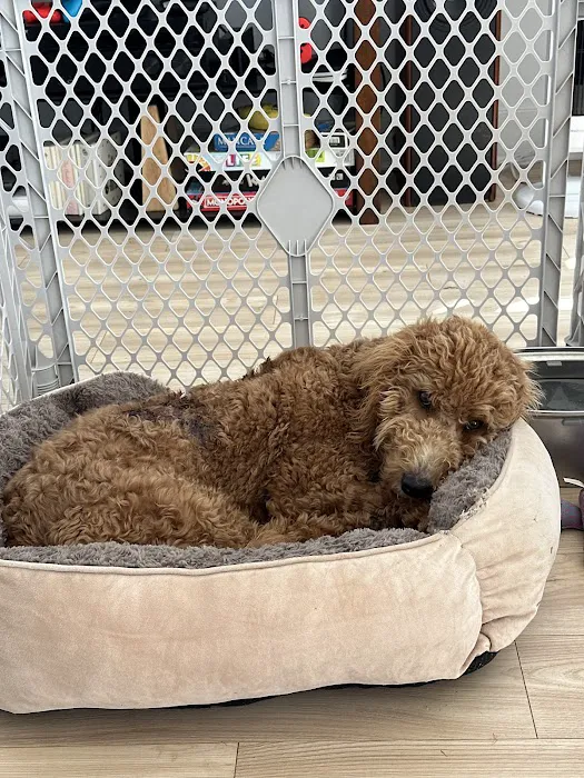 Petco Picture 9