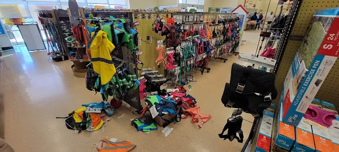 Petco Picture 8