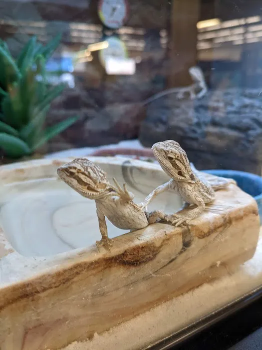 Petco Picture 7