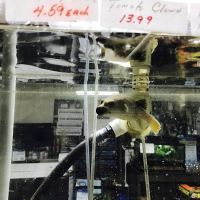 J B Tropical Fish ico
