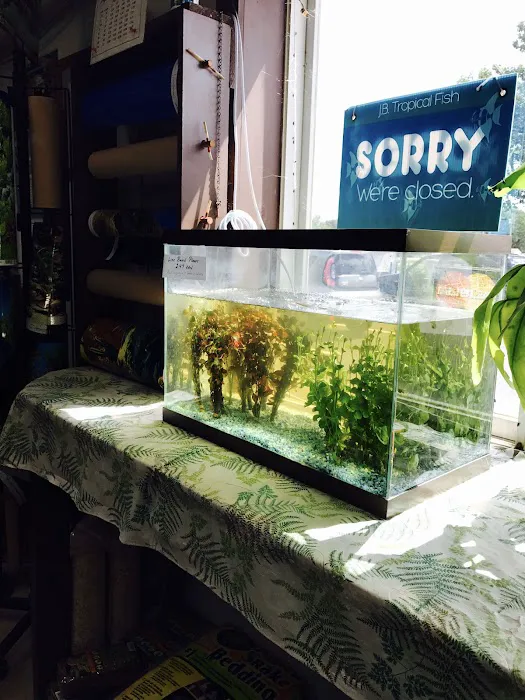 J B Tropical Fish Picture 5