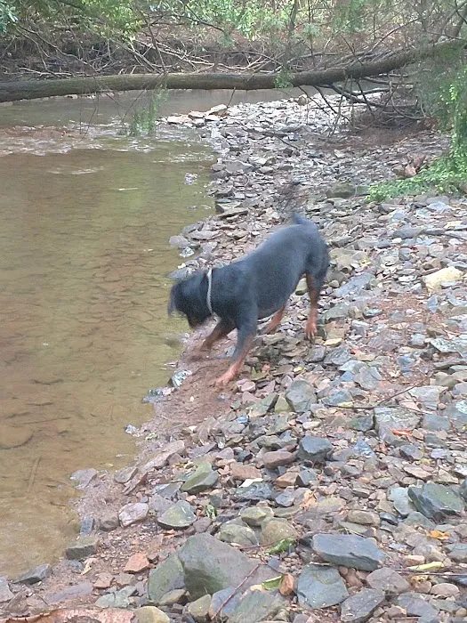 Purdy Pet Food LLC Picture 3