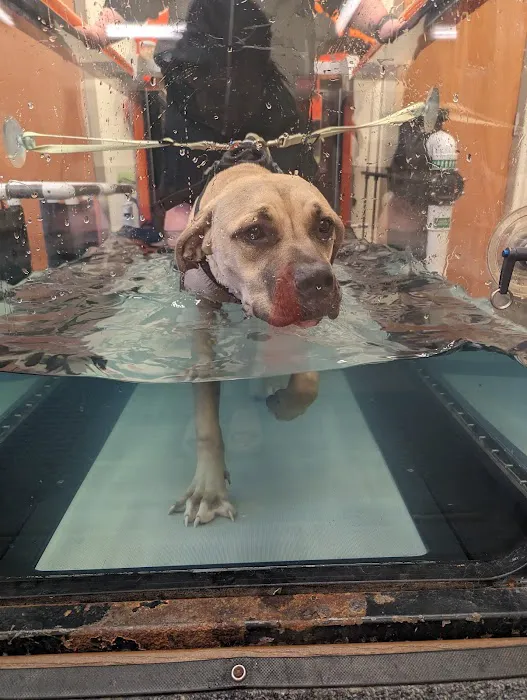 Animal Therapy Center Picture 3