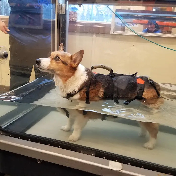 Animal Therapy Center Picture 1