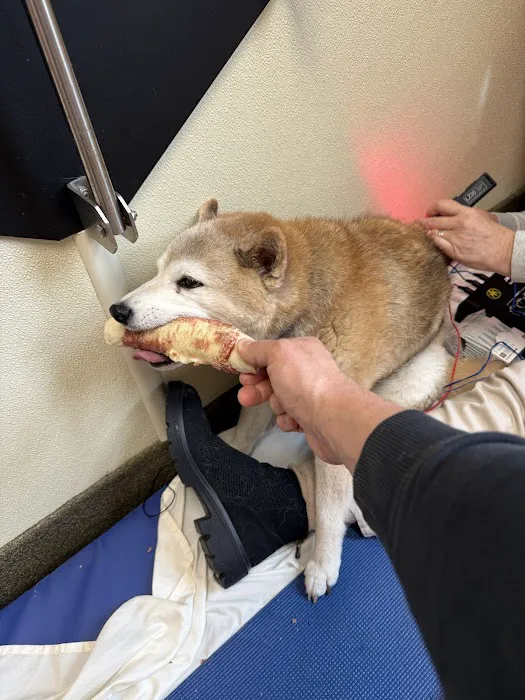 Animal Therapy Center Picture 4