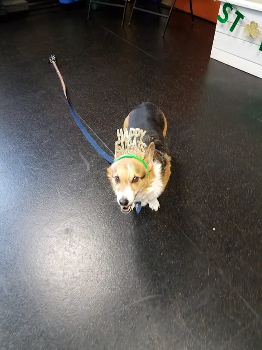 Animal Therapy Center Picture 5