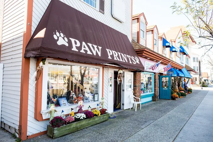 Paw Prints-Stone Harbor Picture 2