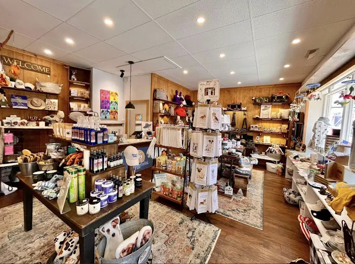 Oliver and Twist LLC Picture 1