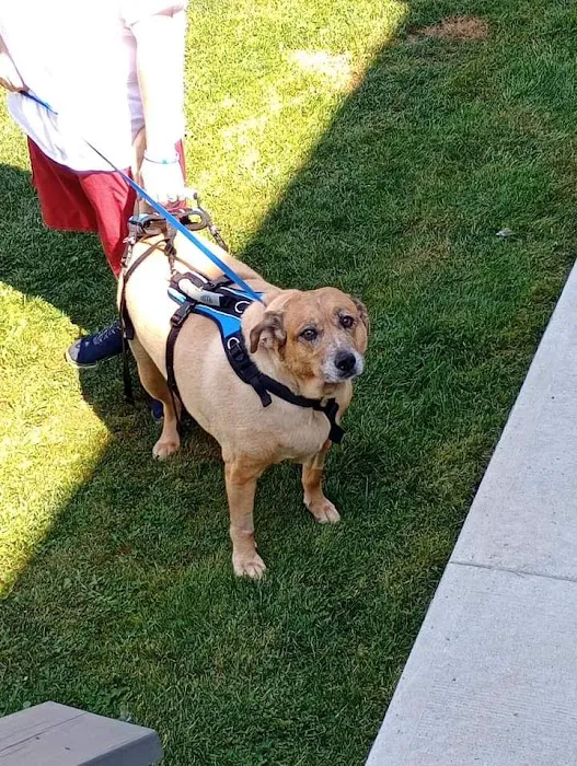Valley Central Veterinary Referral and Emergency Center Picture 5
