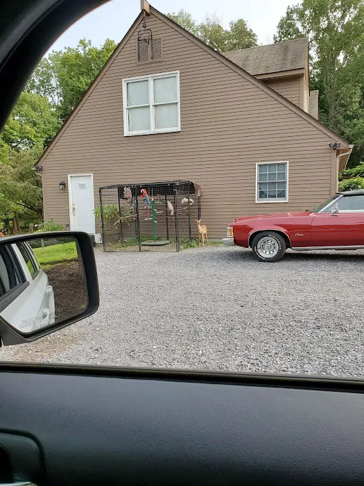 Mobile Veterinary Services Picture 5