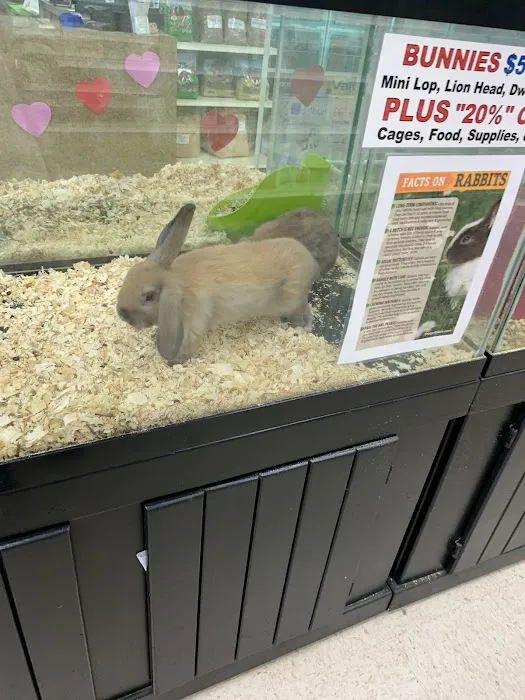 Pet Palace Inc Picture 1