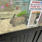 Pet Palace Inc