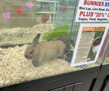 Pet Palace Inc