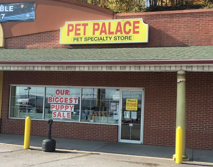 Pet Palace Inc Picture 3