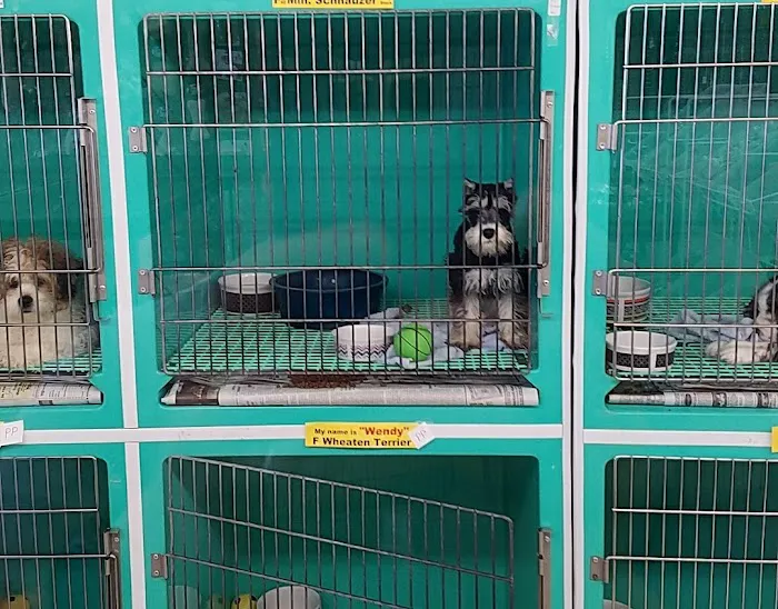 Pet Palace Inc Picture 4