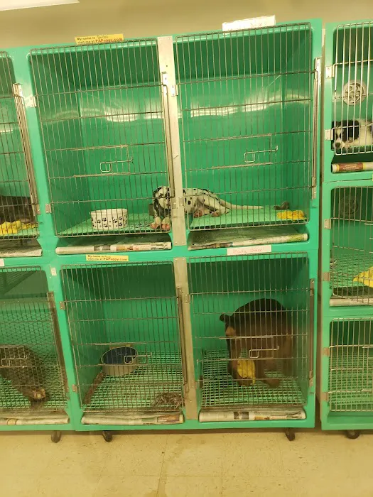 Pet Palace Inc Picture 7