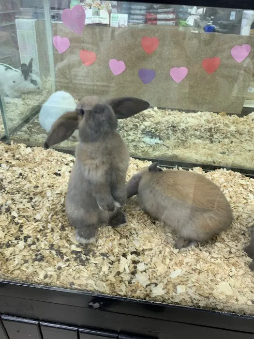 Pet Palace Inc Picture 9