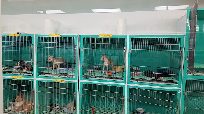 Pet Palace Inc Picture 10