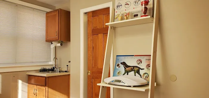 Walbert Animal Hospital Picture 4
