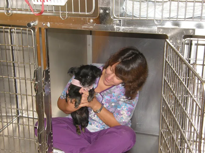 Walbert Animal Hospital Picture 6