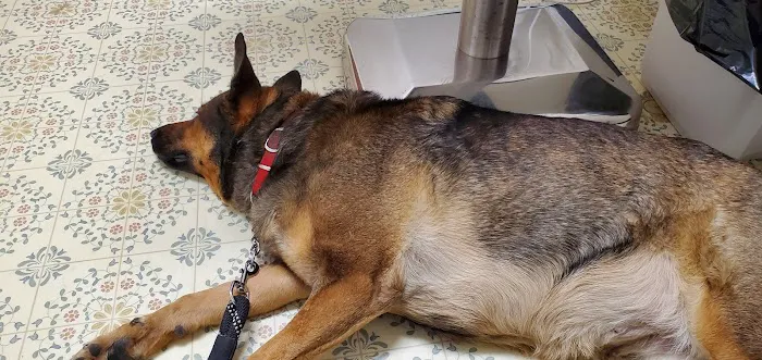 Walbert Animal Hospital Picture 7