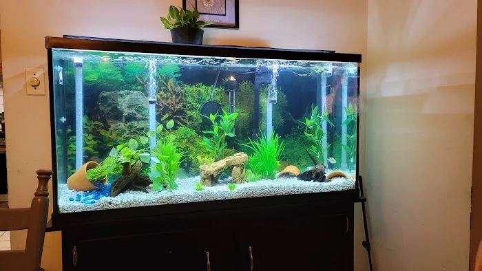 Hipnotik~Aquatix Picture 6