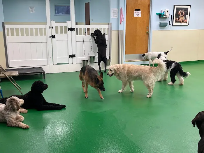 Maple Hills Veterinary Hospital Picture 1