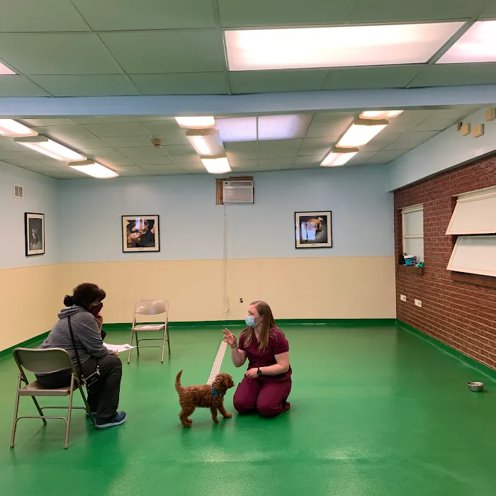 Maple Hills Veterinary Hospital Picture 5
