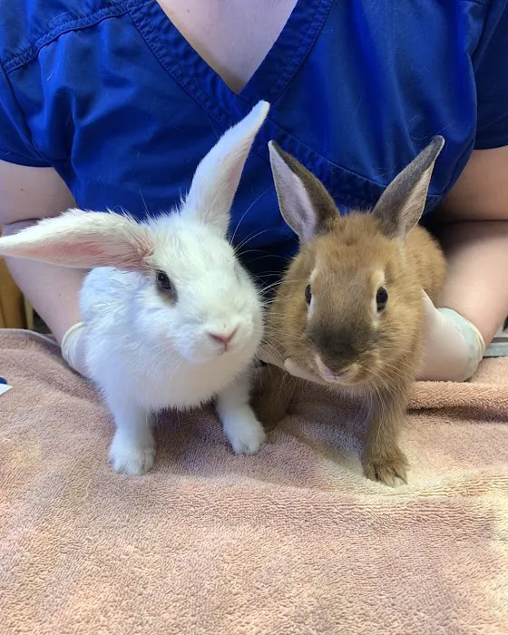 Maple Hills Veterinary Hospital Picture 9